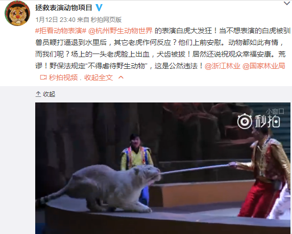 (@拯救表演动物项目 微博截图) 而在21日下午,@新快报,@杭州微博城事 等媒体纷纷转发该微博,引起社会广泛热议,网友评论跟帖达数万条。 事件持续发酵,今天晚上18:59,杭州野生动物世界有限公司官方微博@杭州野生动物世界正式作出回应,称这是一起演出过程中的偶发事件,不存在虐待动物的行为。其完整声明如下:
